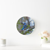 Blue Jay Runde Wanduhr (Zuhause)