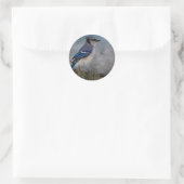 Blue Jay Runder Aufkleber (Tasche)
