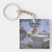 Blue Jay Schlüsselanhänger (Vorderseite)