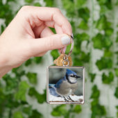 Blue Jay Schlüsselanhänger (Hand)