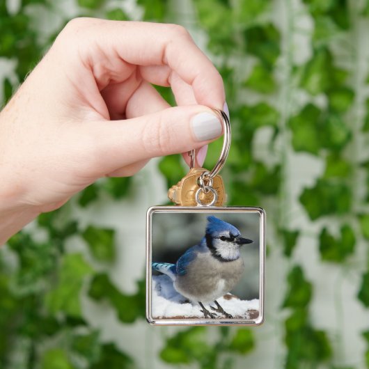 Blue Jay Schlüsselanhänger (Hand)
