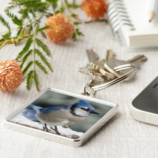 Blue Jay Schlüsselanhänger (Seite)