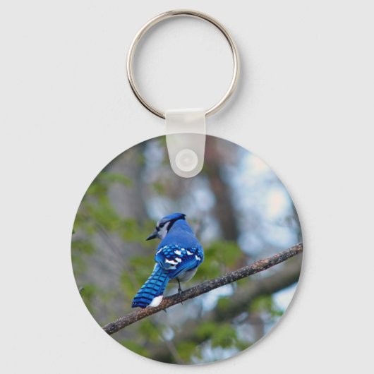 Blue Jay Schlüsselanhänger (Vorderseite)