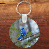 Blue Jay Schlüsselanhänger (Vorderseite)
