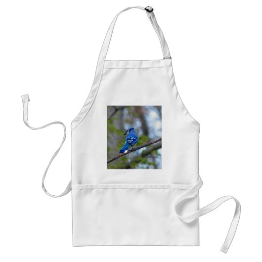 Blue Jay Schürze (Vorne)