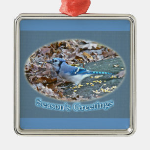 Blue Jay Season's Greetings Ornament