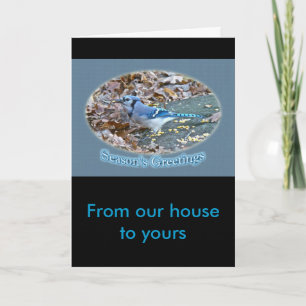 Blue Jay Season's Greetings Series Feiertagskarte