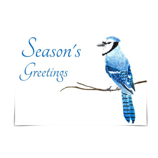 Blue Jay Season's Greetings Watercolor Card Karte