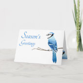 Blue Jay Season's Greetings Watercolor Card Karte (Vorderseite)