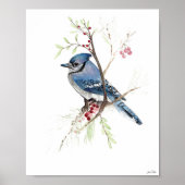 Blue Jay Songbird Aquarellbahn Print Poster (Vorne)