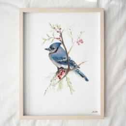 Blue Jay Songbird Aquarellbahn Print Poster