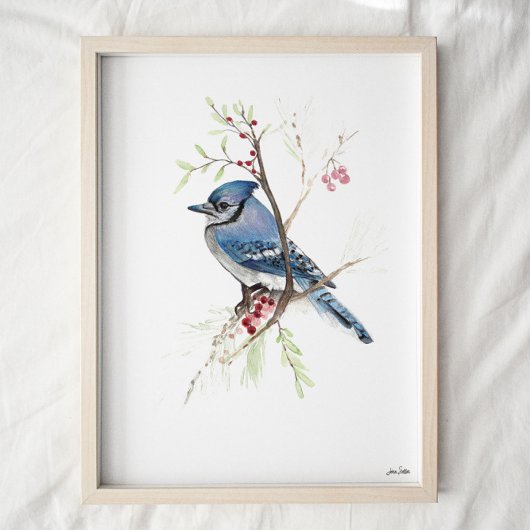 Blue Jay Songbird Aquarellbahn Print Poster
