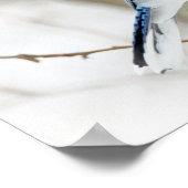 Blue Jay Songbird im Schnee Poster (Ecke)