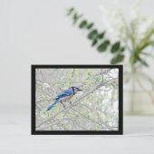 Blue Jay Songbird Postkarte (Stehend Vorderseite)