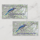 Blue Jay Songbird Visitenkarte (Vorne/Hinten)