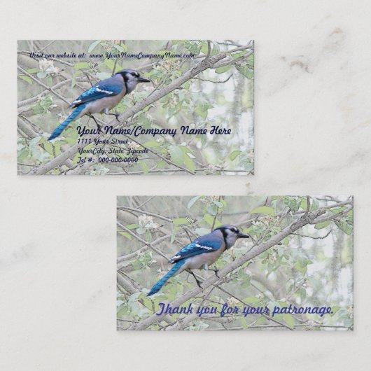 Blue Jay Songbird Visitenkarte (Vorne/Hinten)
