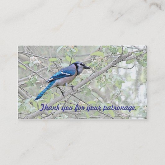 Blue Jay Songbird Visitenkarte (Rückseite)