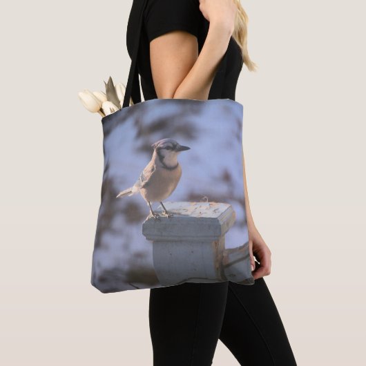 Blue Jay Tasche (Von Nahem)