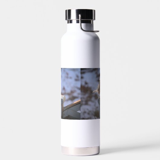 Blue Jay Trinkflasche (Links)