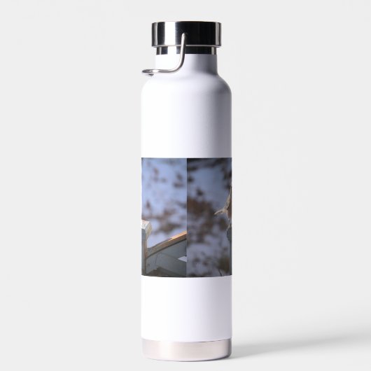 Blue Jay Trinkflasche (Rechts)