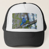 Blue Jay Truckerkappe (Vorderseite)