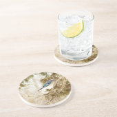 Blue Jay Untersetzer (Seite)