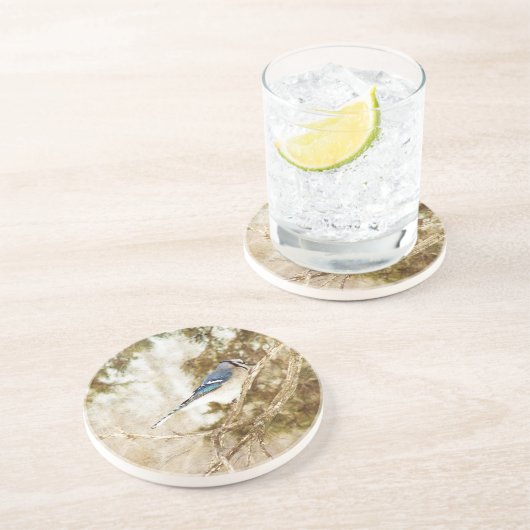 Blue Jay Untersetzer (Seite)