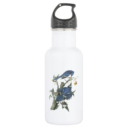 Blue Jay von Audubon Edelstahlflasche (Vorderseite)
