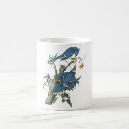 Blue Jay von Audubon Kaffeetasse (Mittel)