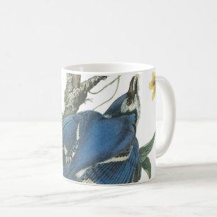 Blue Jay von Audubon Kaffeetasse