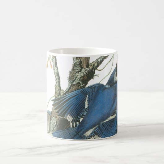 Blue Jay von Audubon Kaffeetasse (Mittel)