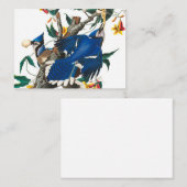 Blue Jay von John James Audubon Mitteilungskarte (Vorne/Hinten)