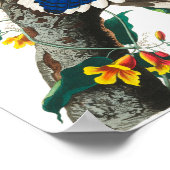 Blue Jay von John James Audubon Poster (Ecke)