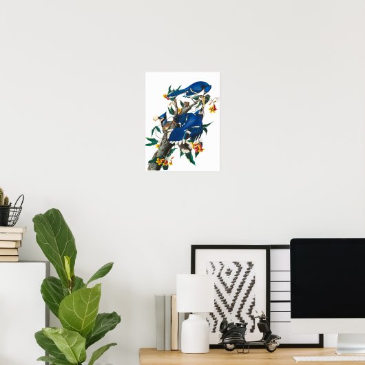 Blue Jay von John James Audubon Poster (Heimbüro)