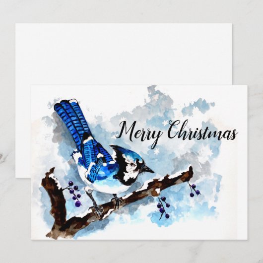 Blue Jay Winter Feiertagskarte (Vorne/Hinten)
