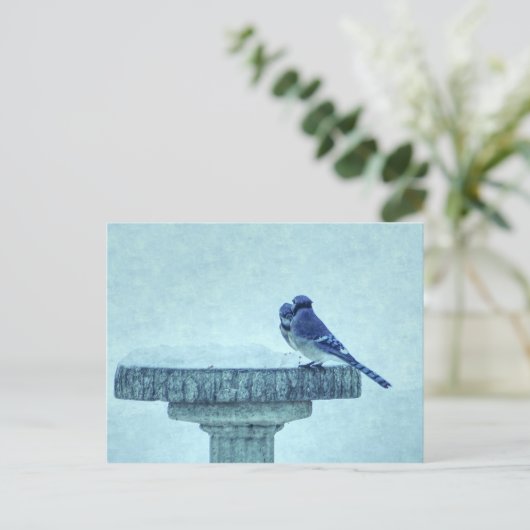 Blue Jay Winter Fütternd Painterly Postcard Postkarte (Stehend Vorderseite)