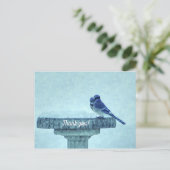 Blue Jay Winter Füttre schmerzlich Danke Postkarte (Stehend Vorderseite)
