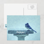 Blue Jay Winter Füttre schmerzlich Danke Postkarte (Vorne/Hinten)