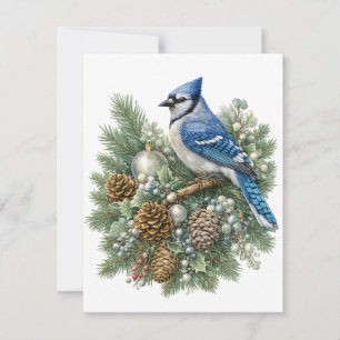 Blue Jay Winter Songbirds Kollektion Mitteilungskarte