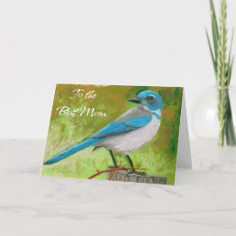 Blue Jay zur Muttertagskarte Dankeskarte