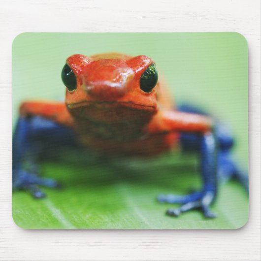 Blue Jean Frog Mousepad (Vorne)