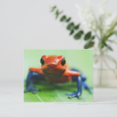 Blue Jean Frog Postkarte (Stehend Vorderseite)