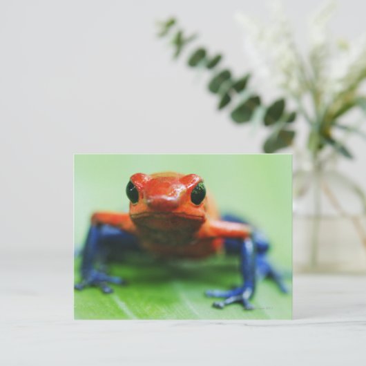 Blue Jean Frog Postkarte (Stehend Vorderseite)