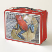 Blue Jeans Frog Cust. Textdatei Metall Brotdose (Rückseite)