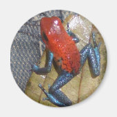 Blue Jeans Frog Magnet (Vorne)