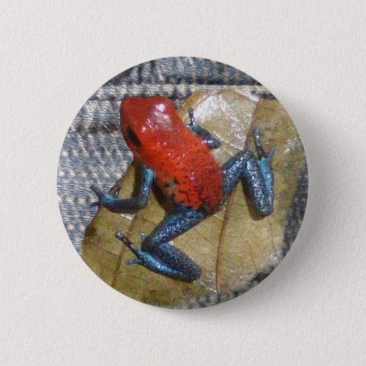 Blue Jeans Frosch Button (Vorderseite)