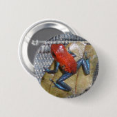 Blue Jeans Frosch Button (Vorne & Hinten)