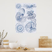 Blue Jellifish - Ernst Haeckel Poster (Küche)