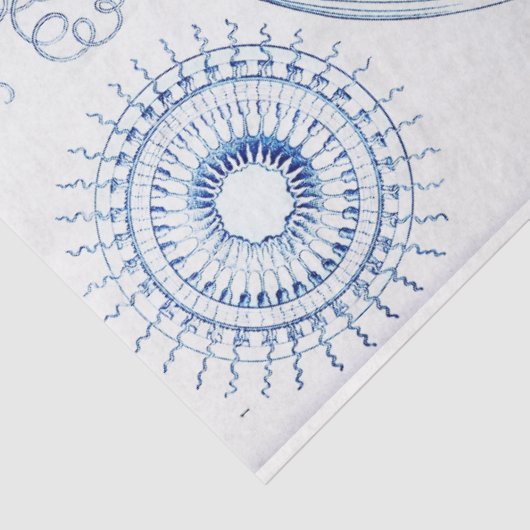 Blue Jellyfish Decoupage Seidenpapier (Ausschnitt)