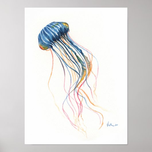 Blue Jellyfish Highlights Poster (Vorne)